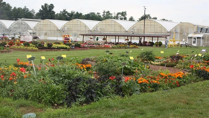 Photo by Michelle Simakis from a previous year at Raker-Robertas Trial Gardens 