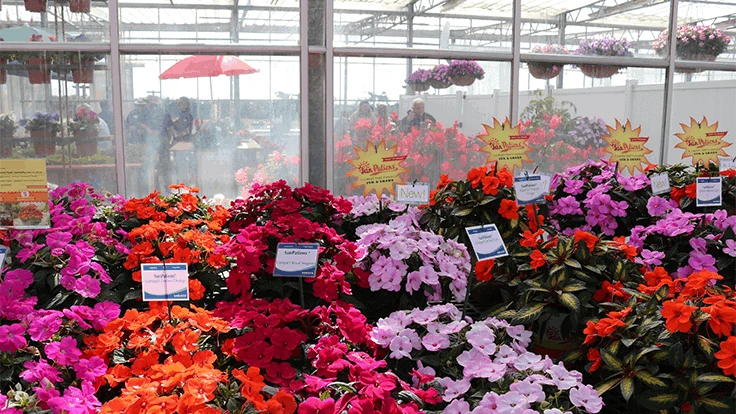 Plants on display at the 2019 California Spring Trials 