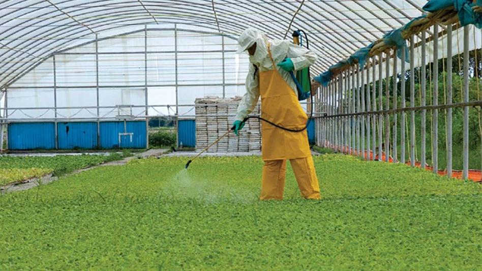 A person sprays pesticides in a greenhouse.